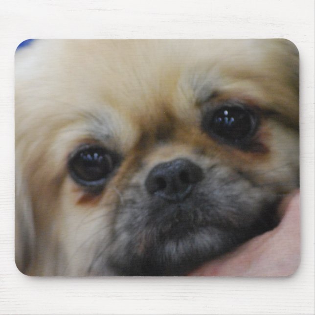 Tibetanische Spaniel-Welpen-Mausunterlage Mousepad (Vorne)
