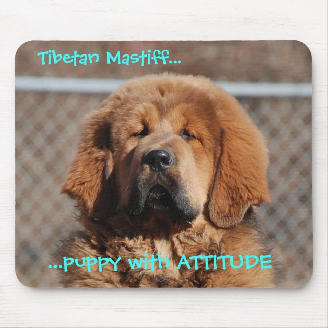 Tibetanischer Mastiff-Haltung Mousepad (Vorne)