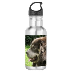 tibetanischer_mastiff.png trinkflasche