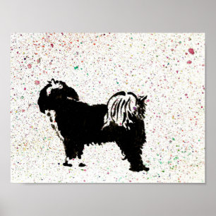 Tibetanisches Terrier - heraus schauend Poster