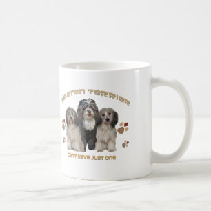 Tibetanisches Terrier kann gerade ein nicht haben Tasse