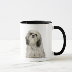 Tibetanisches Terrier-Welpe Tasse