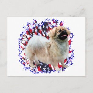 Tibeter Spaniel Patriot Postkarte