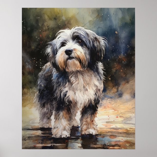 Tibeter Terrier Dog Art Print Poster (Vorne)