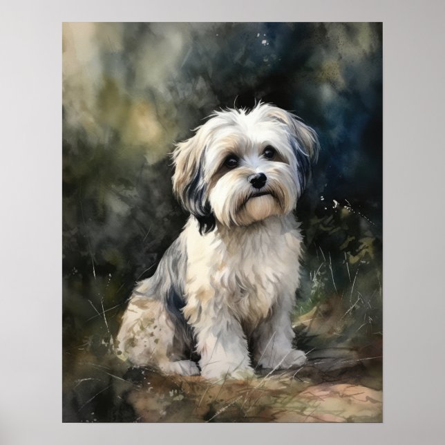 Tibeter Terrier Dog Art Print Poster (Vorne)
