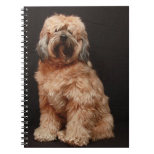 Tibeter-Terrier-Notebook Notizblock