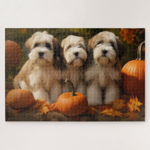 Tibeter Terrier Welpe Herbst Kürbis Puzzle