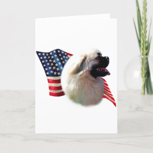 tibetische Flagge Karte