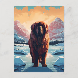 Tibetischer Mastiff in schneebedeckten Bergen Postkarte