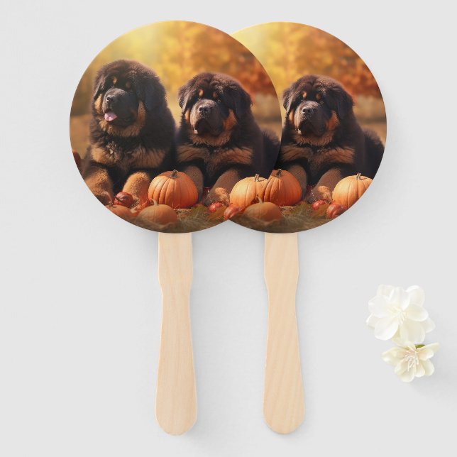 Tibetischer Mastiff Welpe Herbst Kürbis Fächer (Vorne und Hinten)