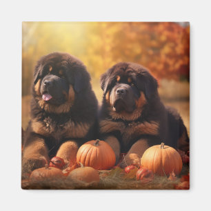 Tibetischer Mastiff Welpe Herbst Kürbis Magnet