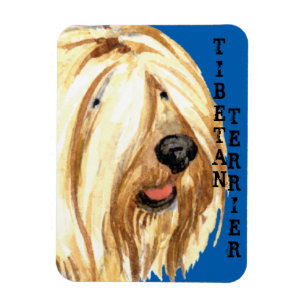 Tibetischer Terrier-Farbblock Magnet