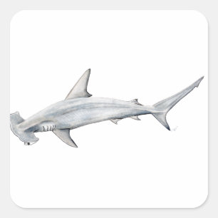 Tiburon martillo - Hammerkopfhaifisch Quadratischer Aufkleber