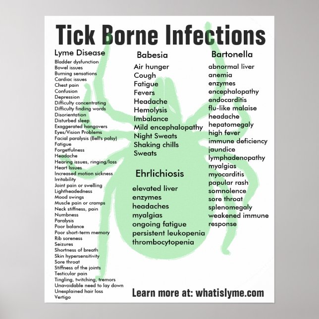 Tick Borne Infektionen Symptome Lernposter Poster (Vorne)