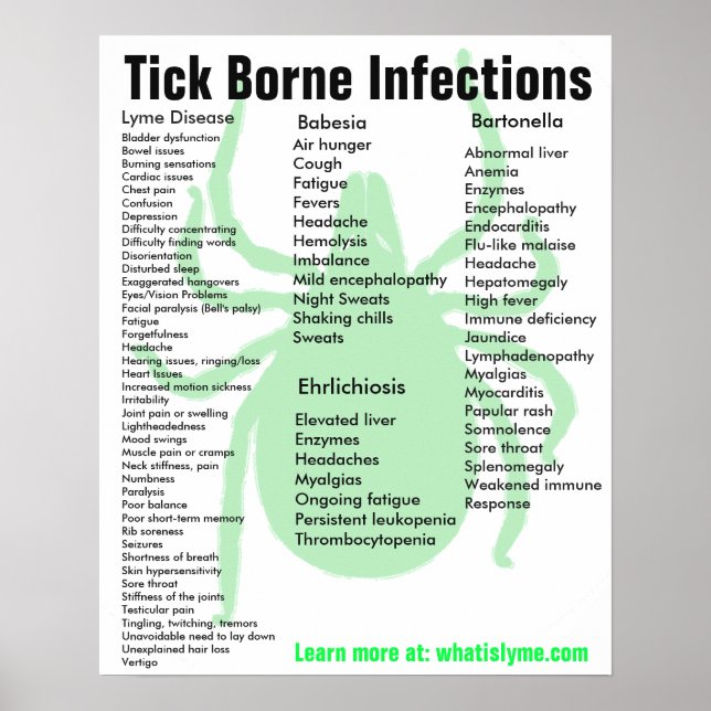 Tick Borne Infektionen Symptome Lernposter Poster (Vorne)