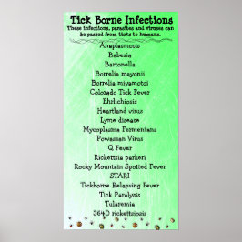 Tick Borne Infektionsliste Lyme Awareness Poster
