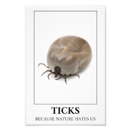 Ticks, weil die Natur uns hasst - Parasitenspass Fotodruck