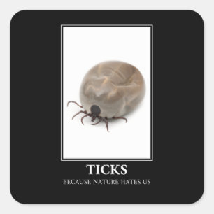 Ticks, weil die Natur uns hasst - Parasitenspass Quadratischer Aufkleber