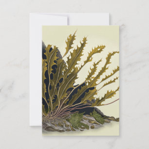 Tidal Fronds Dankeskarte