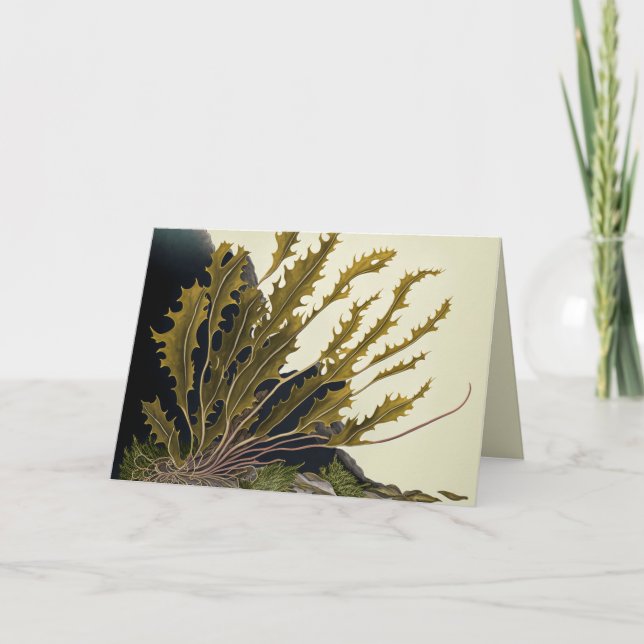 Tidal Fronds Einladung (Vorderseite)