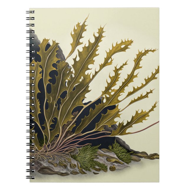 Tidal Fronds Notizblock (Vorderseite)