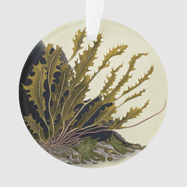 Tidal Fronds Ornament (Vorderseite)