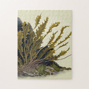 Tidal Fronds Puzzle