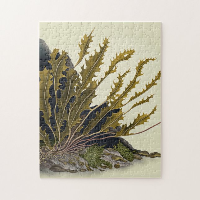 Tidal Fronds Puzzle (Vertikal)