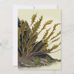 Tidal Fronds Save The Date