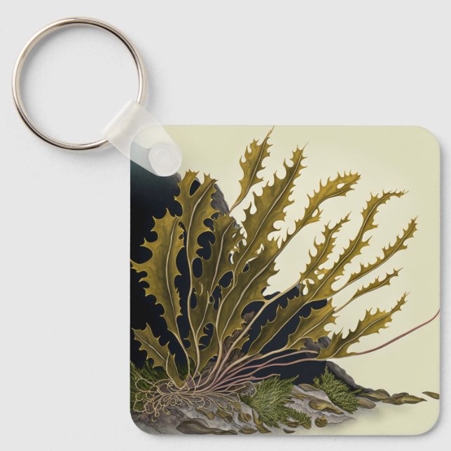 Tidal Fronds Schlüsselanhänger (Vorderseite)