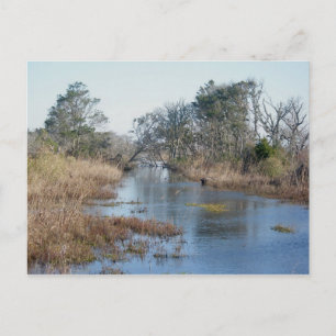Tidal Wetlands Buxton NC OBX Postkarte