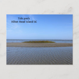 Tide Pools South Carolina Postkarte
