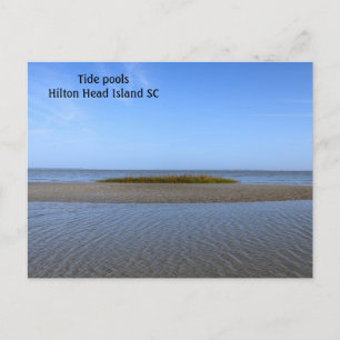 Tide Pools South Carolina Postkarte