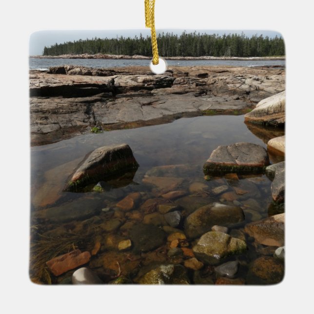 Tidepool at Wonderland in Acadia Nationalpark Keramikornament (Vorderseite)