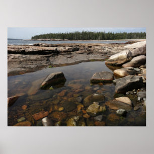 Tidepool at Wonderland in Acadia Nationalpark Poster