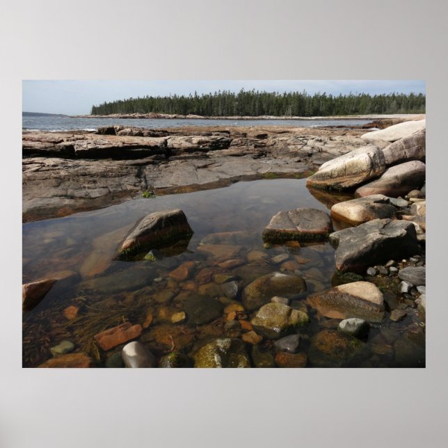 Tidepool at Wonderland in Acadia Nationalpark Poster (Vorne)