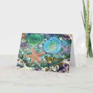Tidepool Reflektionen Grußkarte Karte