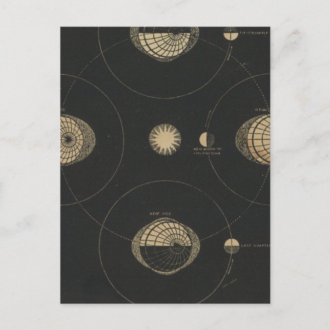 Tides Postkarte (Vorderseite)