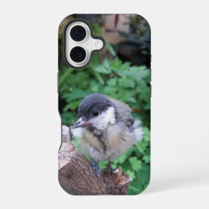 Tidi mein Vogel der Parus Major iPhone 16 Hülle