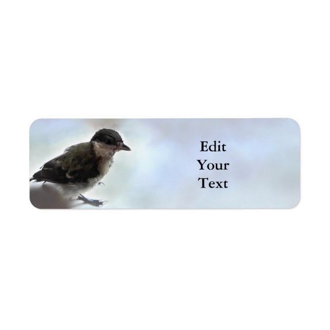 Tidi my Bird the Parus Major (Vorne)