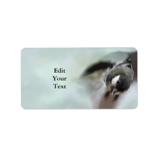 Tidi my Bird the Parus Major Adressaufkleber
