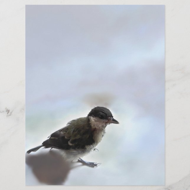 Tidi my Bird the Parus Major Briefbogen (Vorderseite)
