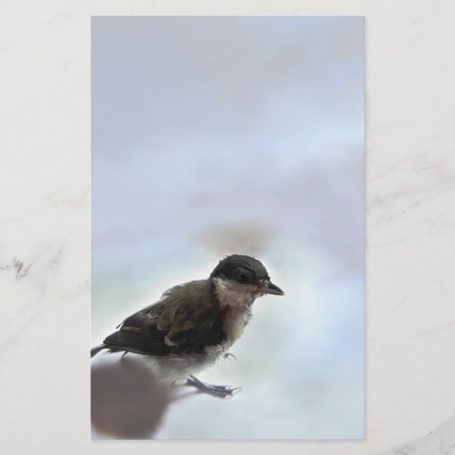 Tidi my Bird the Parus Major Briefpapier (Vorderseite)