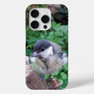 Tidi my Bird the Parus Major Case-Mate iPhone Hülle