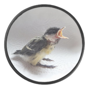 Tidi my Bird the Parus Major Eishockey Puck