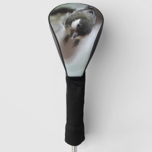 Tidi my Bird the Parus Major Golf Headcover