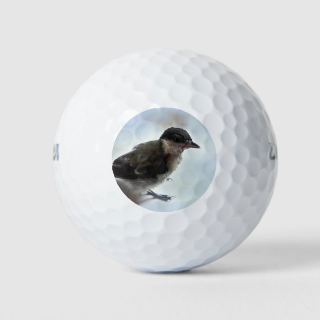 Tidi my Bird the Parus Major Golfball (Vorderseite)