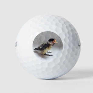 Tidi my Bird the Parus Major Golfball