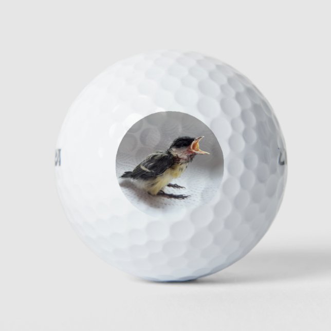 Tidi my Bird the Parus Major Golfball (Vorderseite)