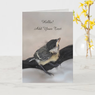 Tidi my Bird the Parus Major Karte